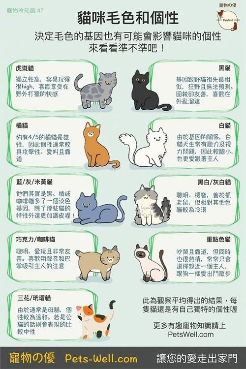 怎样才能了解猫咪的性格?