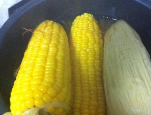 玉米需要煮多久可以吃
