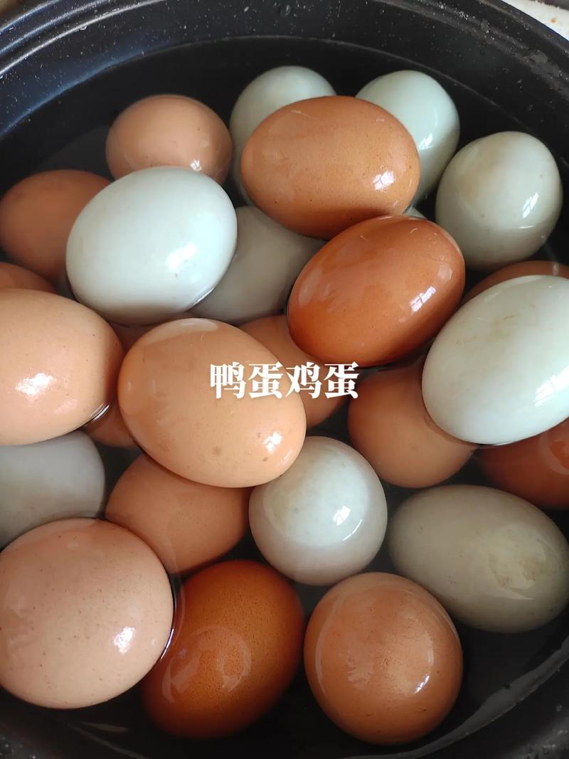 鸭蛋和鸡蛋哪个有营养些
